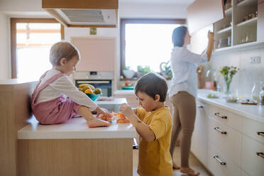 Eine Mutter von zwei kleinen Kindern bereitet das Frühstück in der Küche zu Hause vor. - HPIF03238