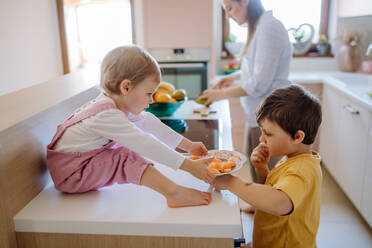 Eine Mutter von zwei kleinen Kindern bereitet das Frühstück in der Küche zu Hause vor. - HPIF03240