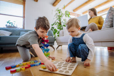 Kleine Geschwister spielen mit Montessori-Holzspielzeug im Wohnzimmer, ihre Mutter sitzt auf einem Sofa mit Laptop. - HPIF03263