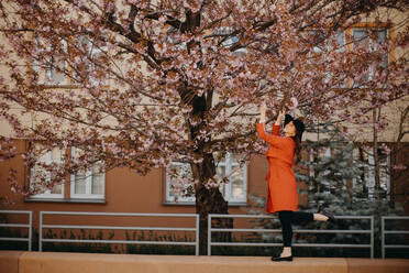 Ein Porträt der schönen jungen Baum mit blühenden Baum im Frühjahr im Park. - HPIF03326