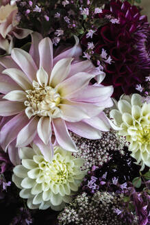 Blumenstrauß aus drei Dahliensorten gemischt mit anderen Blumen - EVGF04197