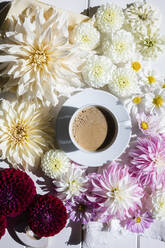 Tasse Kaffee, umgeben von Köpfen verschiedener blühender Blumen - EVGF04202