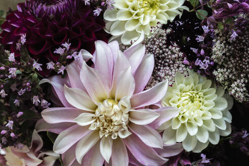 Blumenstrauß aus drei Dahliensorten gemischt mit anderen Blumen - EVGF04207