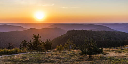 Germany, Baden-Wurttemberg, Landscape of Black Forest National Park at sunrise - WDF07181