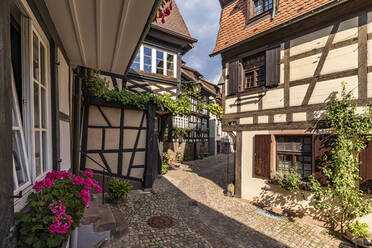 Germany, Baden-Wurttemberg, Gengenbach, Cobblestone alley stretching between half-timbered houses - WDF07189