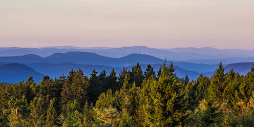 Deutschland, Baden-Württemberg, Landschaft des Nationalparks Schwarzwald in der Abenddämmerung - WDF07197