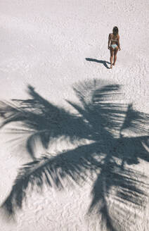 Woman walking ahead of palm tree shadow on sand at beach - KNTF06861