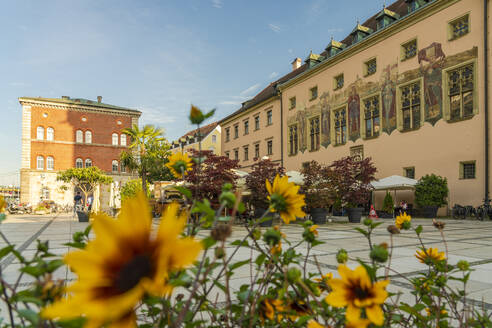 Deutschland, Bayern, Passau, Blühende Blumen auf dem Rathausplatz im Sommer - TAMF03755