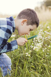 Junge mit Lupe schaut sich Blumen an - ONAF00318
