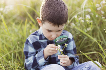 Boy with magnifying glass examining flowers - ONAF00320