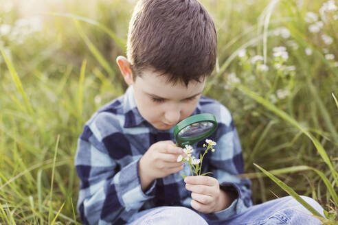 Junge mit Vergrößerungsglas, der Blumen untersucht - ONAF00320