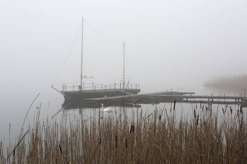 Segelboot am Ufer eines nebligen Sees vertäut - ASCF01716