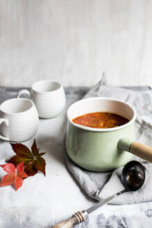 Studioaufnahme eines Topfes mit mexikanischer Hühnersuppe - SBDF04598