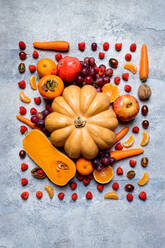 Stilleben mit verschiedenen Herbstgemüsen, Kürbissen, Äpfeln, Kaki, Mandarinen, Trauben und Haselnüssen von oben - ADSF41953