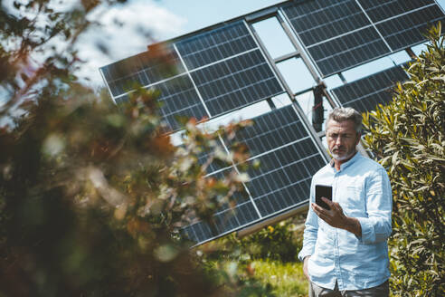 Ein Mann benutzt ein Mobiltelefon vor einer Solaranlage im Garten - JOSEF15665