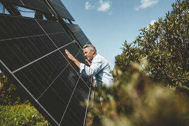 Mature man touching solar panels on sunny day - JOSEF15669