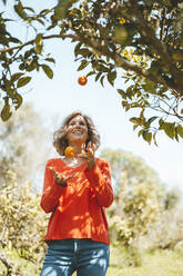 Smiling woman juggling oranges standing by tree - JOSEF15684