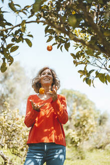 Lächelnde Frau jongliert Orangen an einem Baum - JOSEF15684