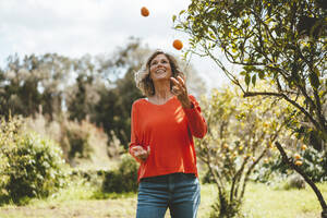 Glückliche reife Frau, die mit Orangen jongliert, stehend an einem Baum im Garten - JOSEF15685