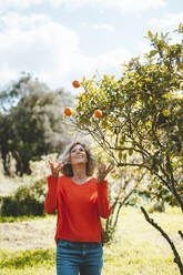 Happy woman juggling oranges standing by tree in garden - JOSEF15686