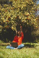 Happy mature woman sitting with laptop and picking orange fruits from tree - JOSEF15695