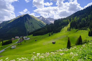 Österreich, Tirol, Berwang, Blick auf grünes Bergtal im Sommer - LBF03690