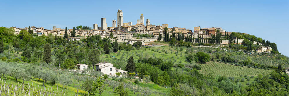 Italy, Tuscany, San Gimignano, Green trees in front of medieval town in summer - WGF01434