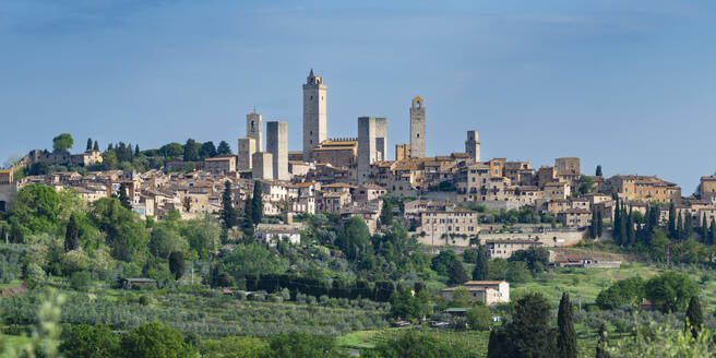 Italy, Tuscany, San Gimignano, Green trees in front of medieval town in summer - WGF01435
