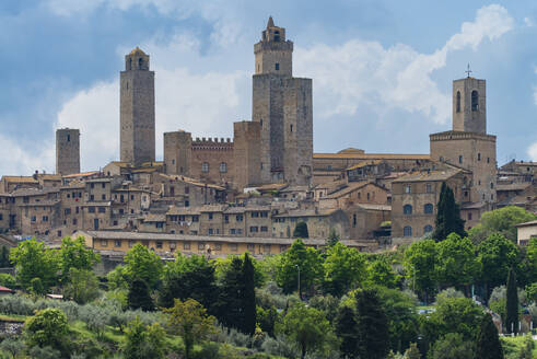 Italy, Tuscany, San Gimignano, Green trees in front of medieval town in summer - WGF01437