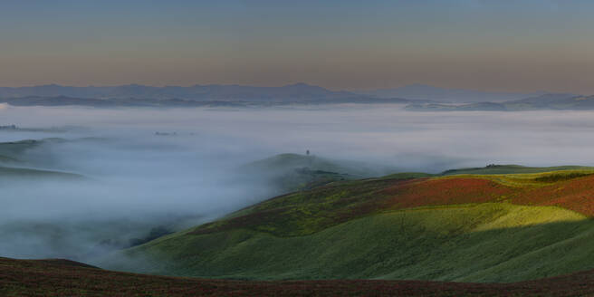 Italy, Tuscany, Volterra, Panoramic view of landscape shrouded in thick morning fog - WGF01439