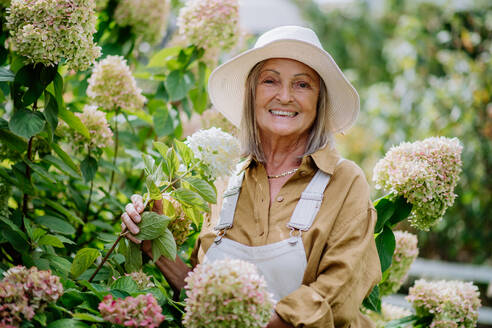 Glückliche ältere Frau posiert in einem Blumengarten. - HPIF03704