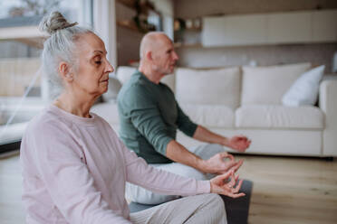 A senior couple doing relaxation exercise together at home. - HPIF03917