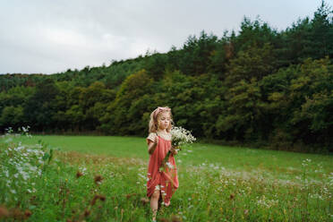 Kleines Mädchen in einem Sommerkleid pflückt Blumen auf einer Wiese. - HPIF03976