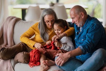 A little girl sitting on sofa with her grandparents and learning to knit indoors at home. - HPIF04234