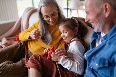 A little girl sitting on sofa with her grandparents and learning to knit indoors at home. - HPIF04236