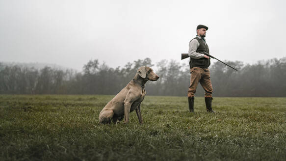 A hunter man with dog in traditional shooting clothes on field holding shotgun. - HPIF04325