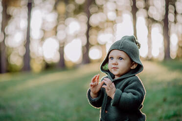 Ein Porträt von niedlichen kleinen Jungen tragen gestrickte Hoodie in nautre, Herbst-Konzept. - HPIF04359