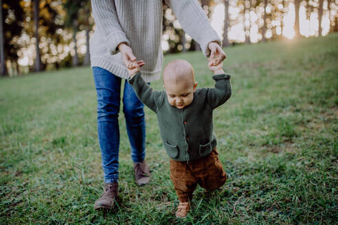 Eine Mutter hält die Hände ihres kleinen Sohnes beim Spaziergang in der Natur, Konzept der ersten Schritte des Babys. - HPIF04363