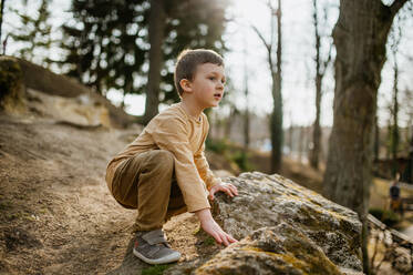 A portrait of cute curious little boy in nautre, autumn concept. - HPIF04366