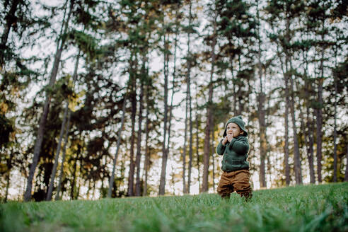 Ein Porträt von niedlichen kleinen Jungen tragen gestrickte Hoodie in nautre, während Sonnenuntergang, Herbst-Konzept. - HPIF04378