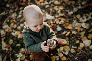 Ein kleines Kleinkind Junge erforscht die Natur und hält Tannenzapfen im Freien im Herbst Wald. - HPIF04380