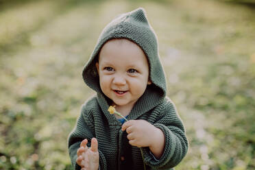 Ein Porträt von niedlichen kleinen Jungen tragen gestrickte Hoodie in nautre, Herbst-Konzept. - HPIF04382