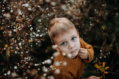 Draufsicht auf einen niedlichen kleinen Jungen, der einen Strickpulli trägt und die Herbstlandschaft erkundet. - HPIF04387