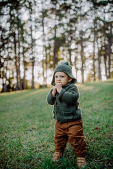 A portrait of cute little boy wearing knitted hoodie in nautre, autumn concept. - HPIF04389