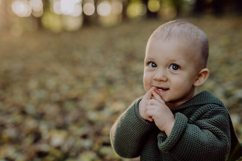 Ein Porträt von niedlichen kleinen Jungen tragen gestrickte Hoodie in nautre, Herbst-Konzept. - HPIF04394