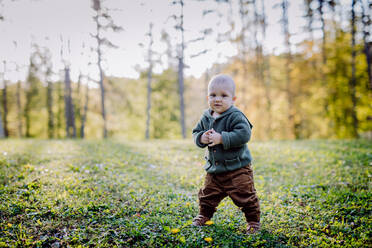 Ein Porträt von niedlichen kleinen Jungen tragen gestrickte Hoodie in nautre, Herbst-Konzept. - HPIF04398