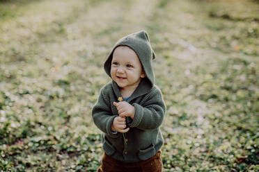 Ein Porträt von niedlichen kleinen Jungen tragen gestrickte Hoodie in nautre, Herbst-Konzept. - HPIF04399