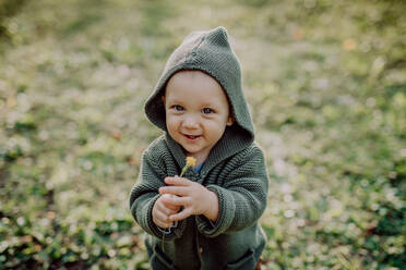 Ein Porträt von niedlichen kleinen Jungen tragen gestrickte Hoodie in nautre, Herbst-Konzept. - HPIF04406