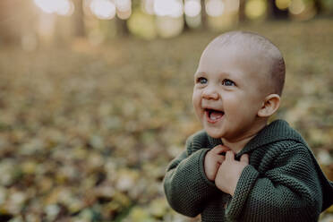 Ein Porträt von niedlichen kleinen Jungen tragen gestrickte Hoodie in nautre, Herbst-Konzept. - HPIF04410