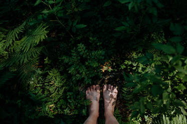 Bare feet of a woman standing barefoot outdoors in nature, grounding concept. - HPIF04418